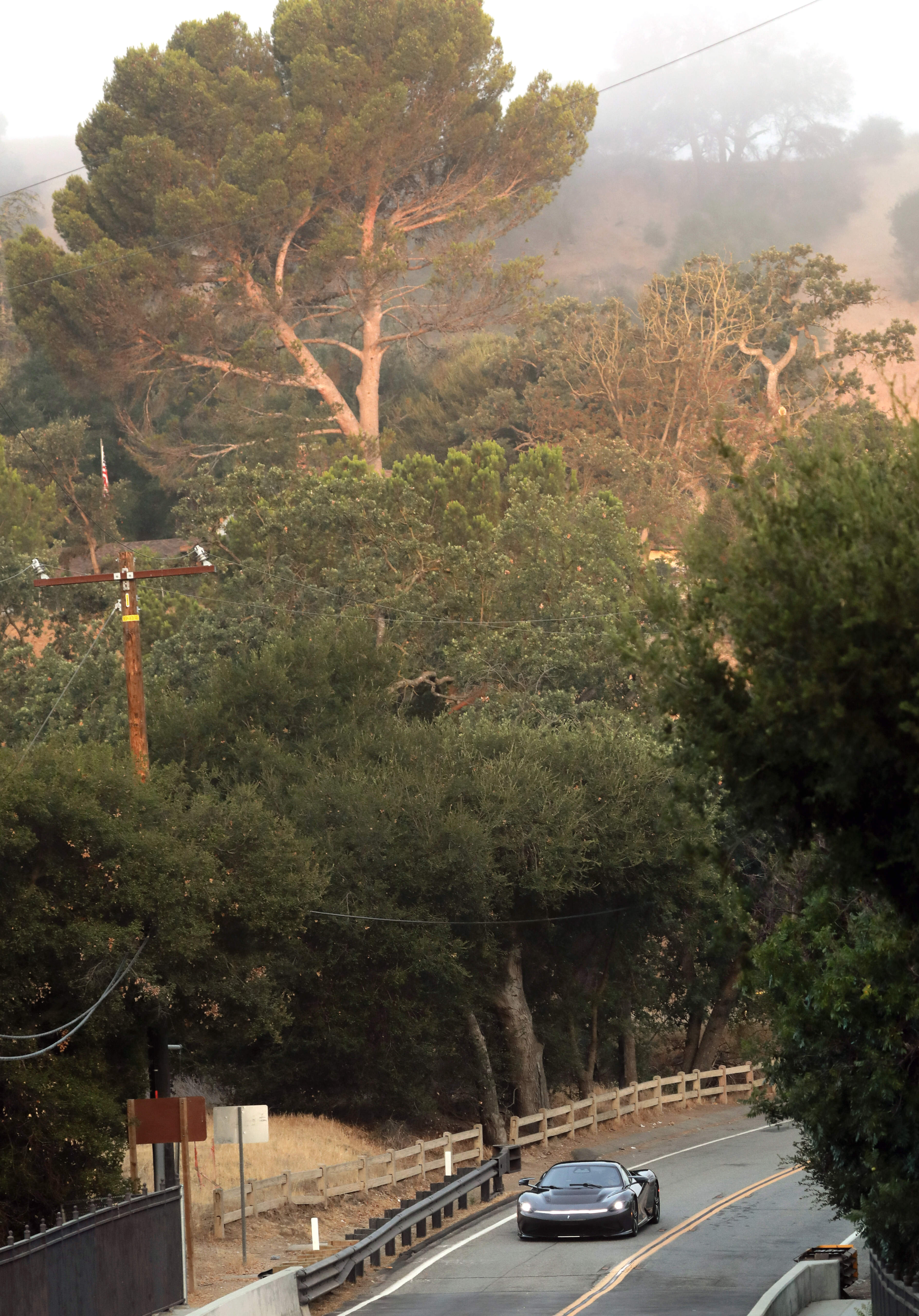 Battista in California 7.jpg